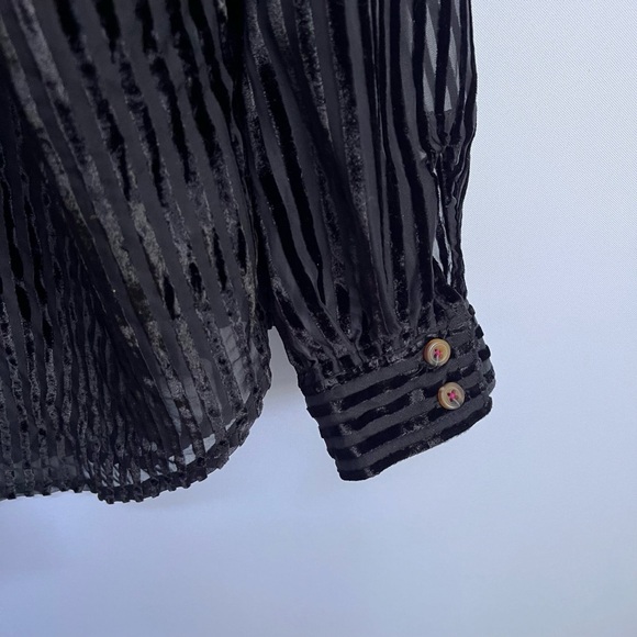 NWT Anthropologie Pilcro Velvet Burnout Long Sleeve Buttondown Blouse 2X - Picture 13 of 13